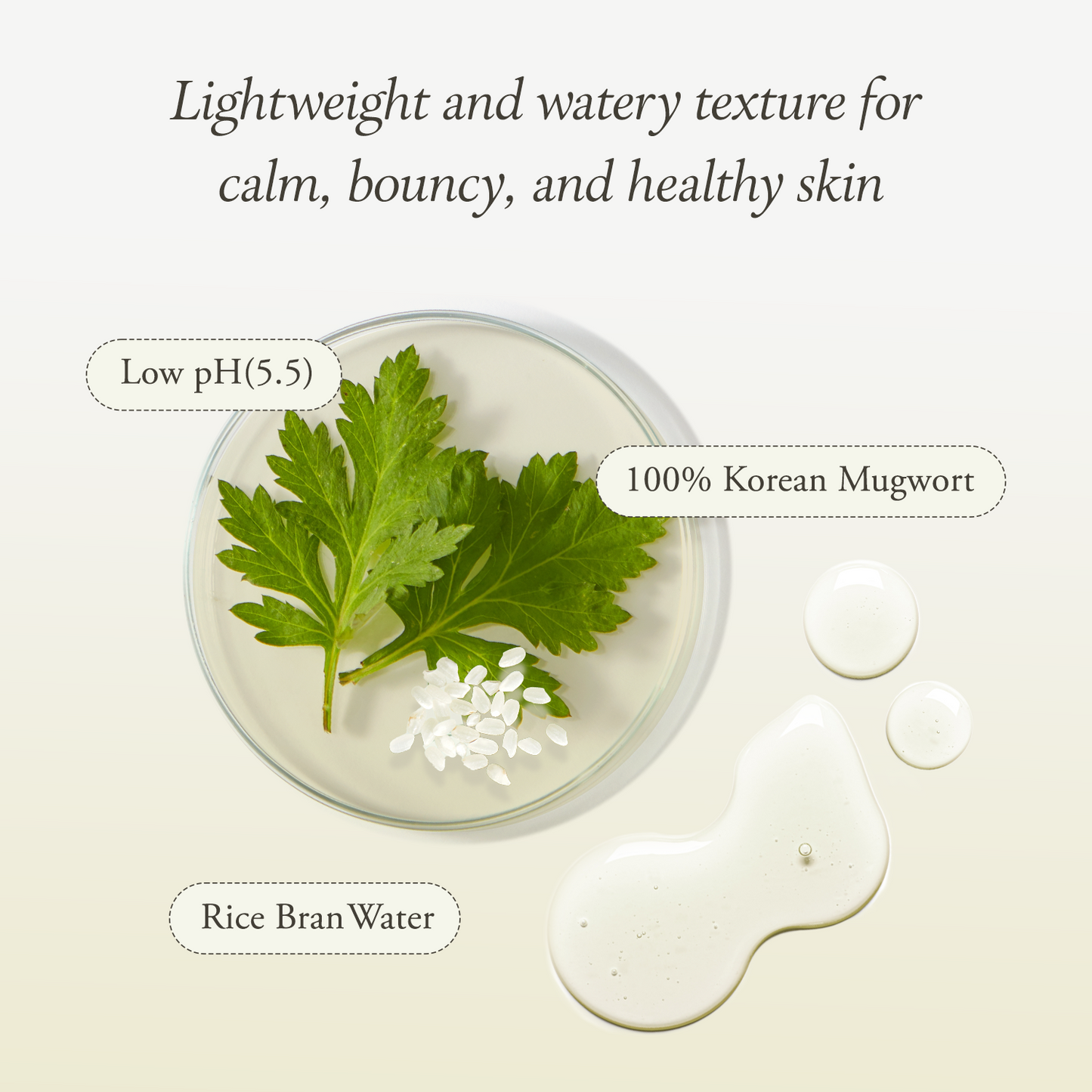 Artemisia Rice Toner - APRILSKIN US