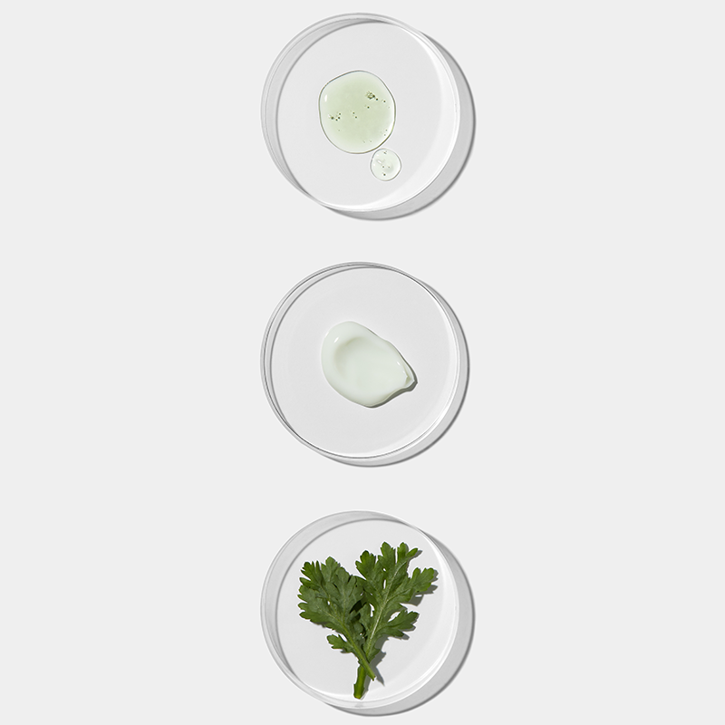 Artemisia Squalane Hydra Gel Cream - APRILSKIN US