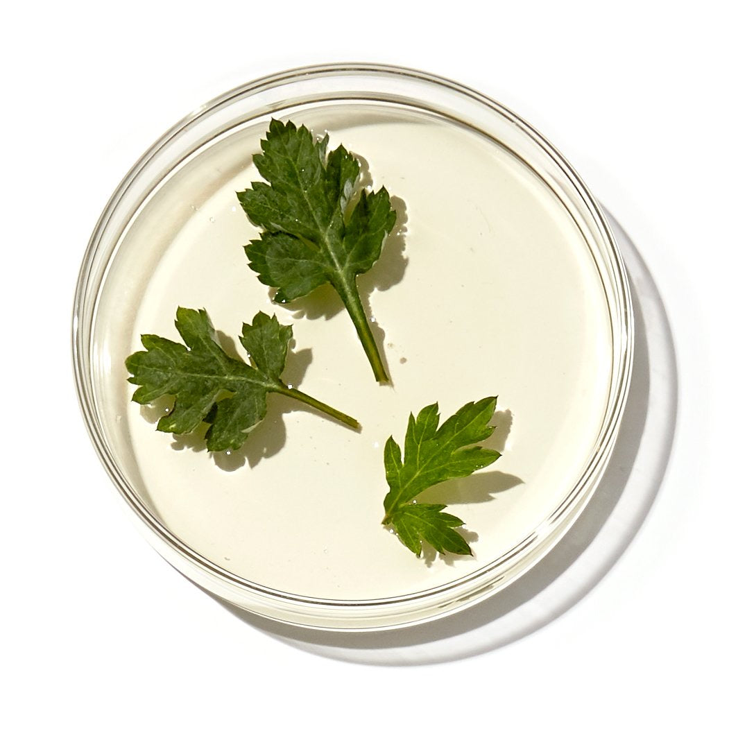 Artemisia Rice Toner - APRILSKIN US